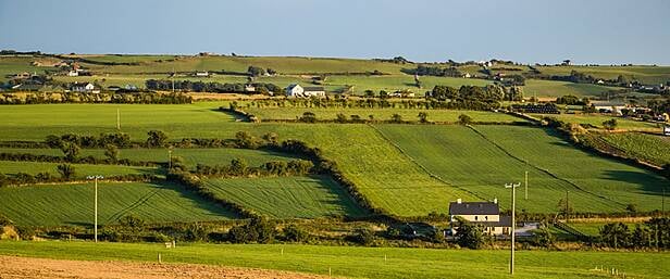 Acres delays putting West Cork farmers ‘under enormous stress’ Image