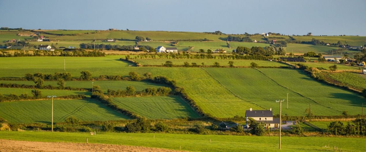 Acres delays putting West Cork farmers ‘under enormous stress’ Image