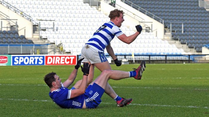Robbie Minihane’s goal the difference as Castlehaven go joint top in Division 1 of county league Image
