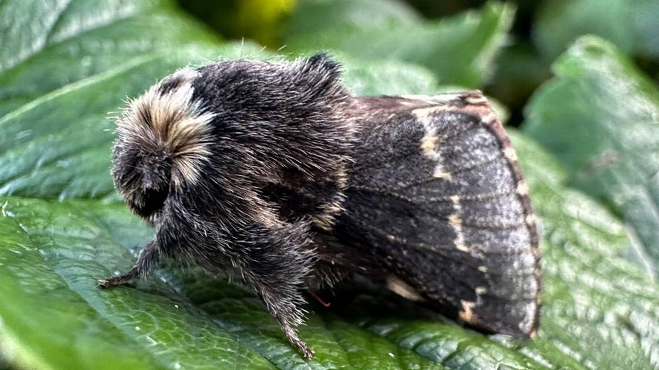 Looking forward to more West Cork wildlife wonders Image