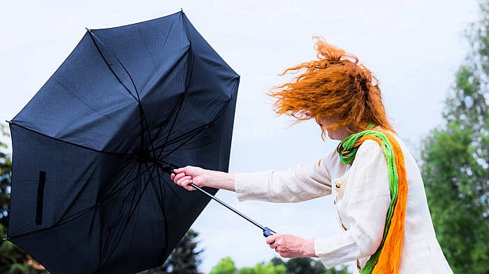 Heavy rain and winds forecast as Storm Isha approaches Image