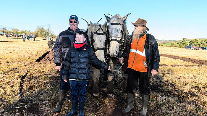 Paudie O'Sullivan and Darragh Madden from Crookstown with Jerry from Kerry and horses Larry and Elton John at the ploughing.