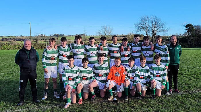 Cup final delight for Dunmanway and Kilmichael Image