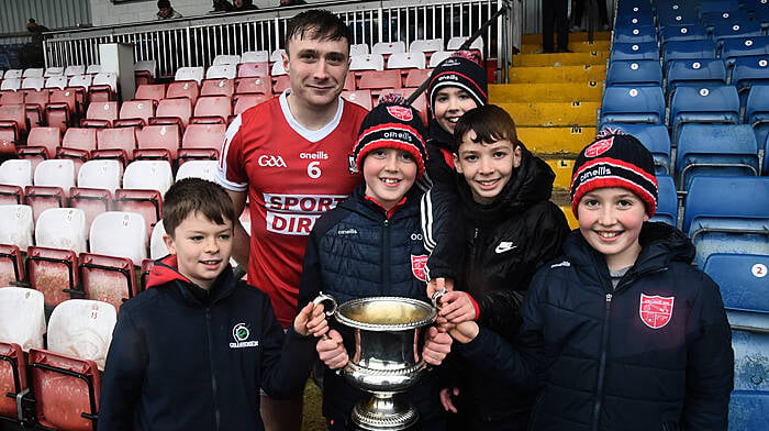 Hayes: A result in Donegal would set the tone for Cork's Division 2 football league campaign Image