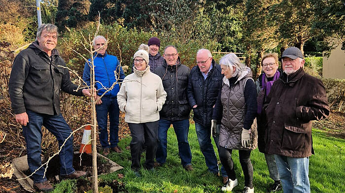 Residents' tree to honour Barry Shanahan Image