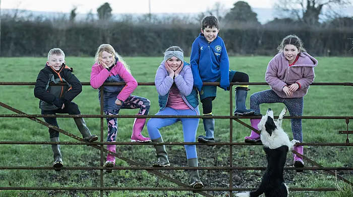 Wellies at the ready for Embrace Image