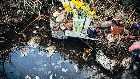 St Brigid left her mark on at least eight local holy wells in West Cork Image
