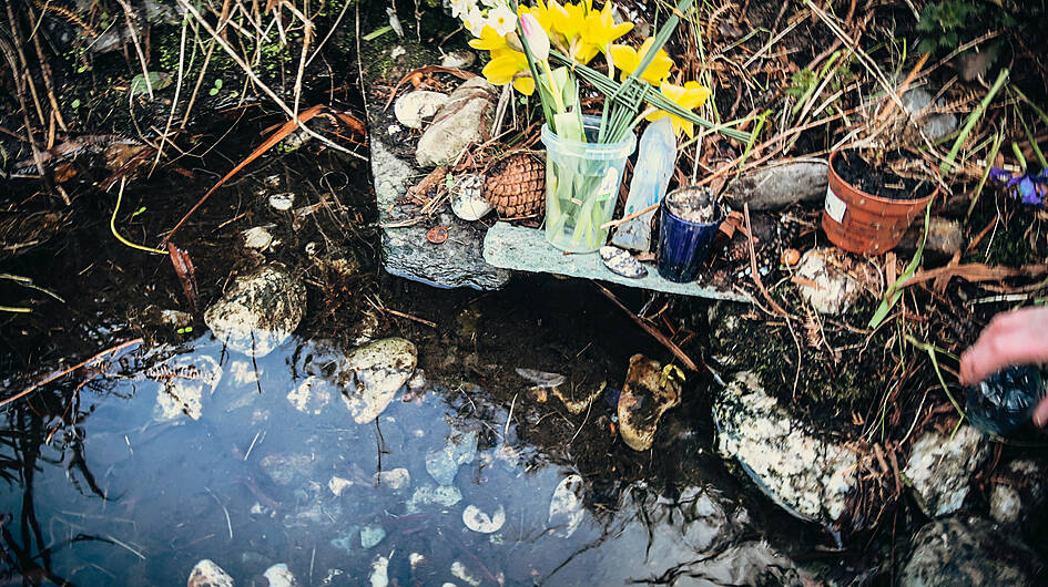 St Brigid left her mark on at least eight local holy wells Image