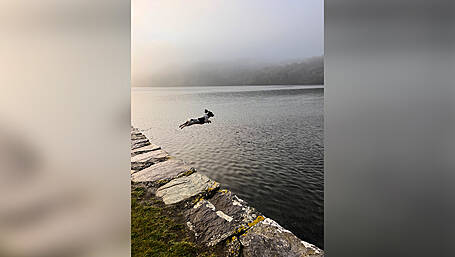 Reader's Picture of the Week Image