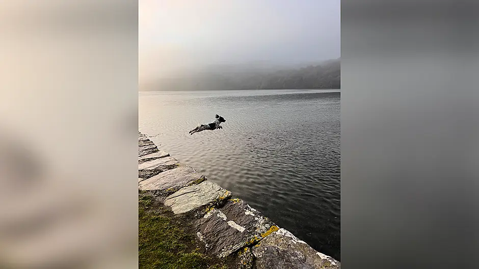 Reader's Picture of the Week Image
