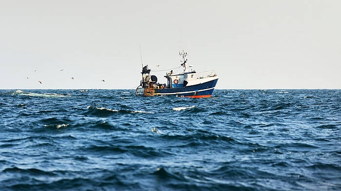 Inshore fishermen plan to make plight an election issue Image