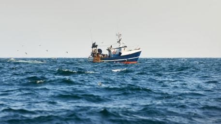 Inshore fishermen plan to make plight an election issue Image