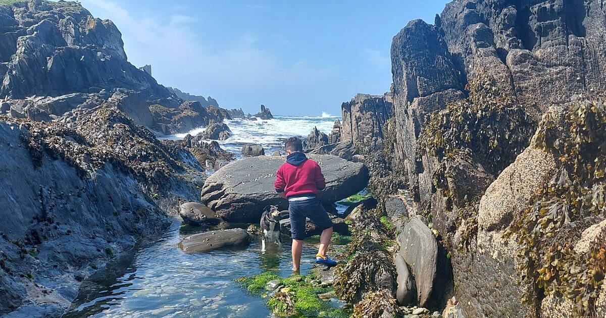 Cape Clear marine courses to aid teens learning Irish - Vimarsana News
