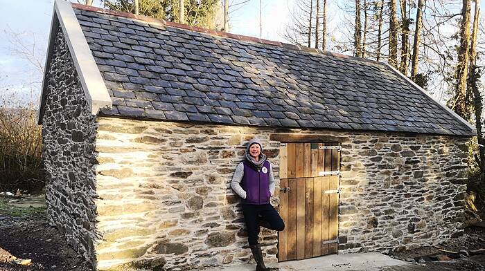 Bantry farmer used heritage scheme to help bring old building back to life Image