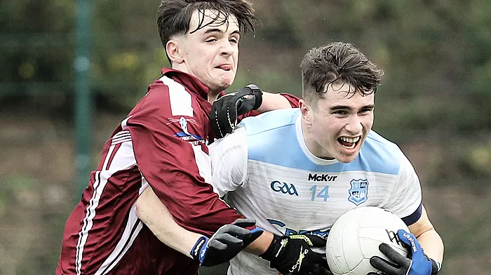 Heartbreak for Coláiste Pobail Bheanntraí in Munster final Image