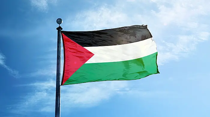 Palestinian flag for county hall Image