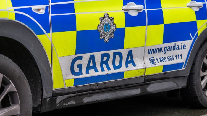 Gardaí investigate cause of Clonakilty two vehicle collision Image