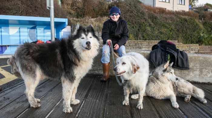 Ciarán McSweeney with Hunter, Honey and Frodo relaxing on the seafront after a walk at Fountinstown. (Photo: David Creedon)