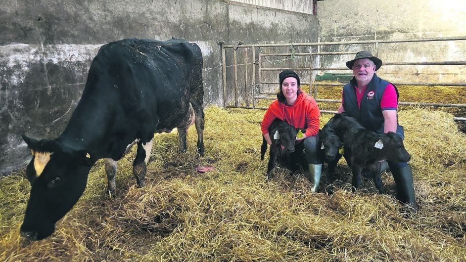 Triplet calves: A trip into unexpected for Lissarda farmer Joe Image