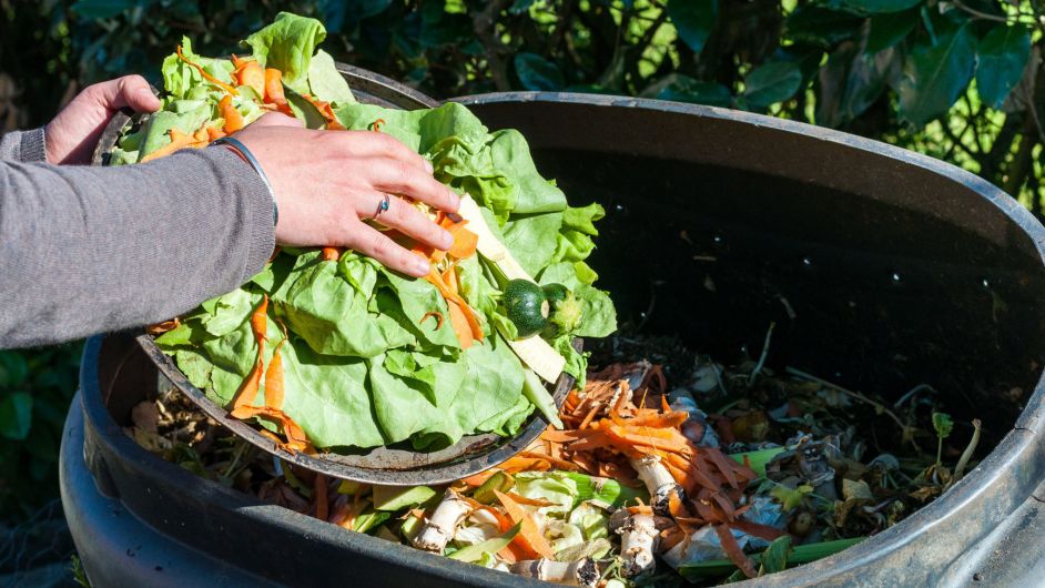 Clonakilty set to lead food waste plan Image