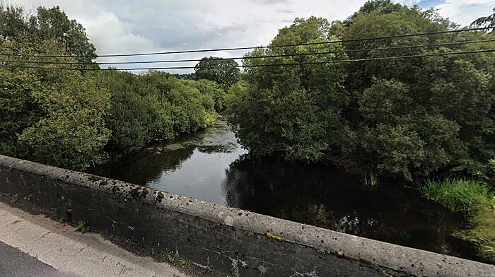 Councillors are unhappy pearl mussel is preventing bridge flood works Image