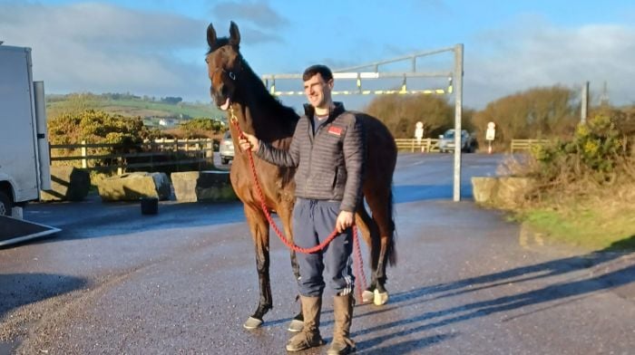 Paudie Butler hoping for Glory in Cheltenham Image