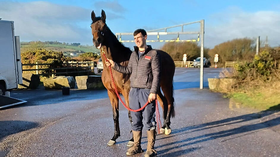 Paudie Butler hoping for Glory in Cheltenham Image