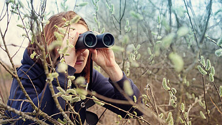 Five things to do in West Cork this weekend Image