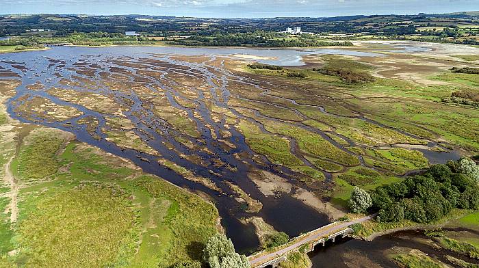 ‘Gearagh can be Ireland’s next national park’ Image