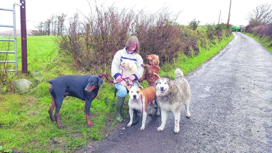 West Cork bids farewell to its caring champion of animals Anita Douglass Image