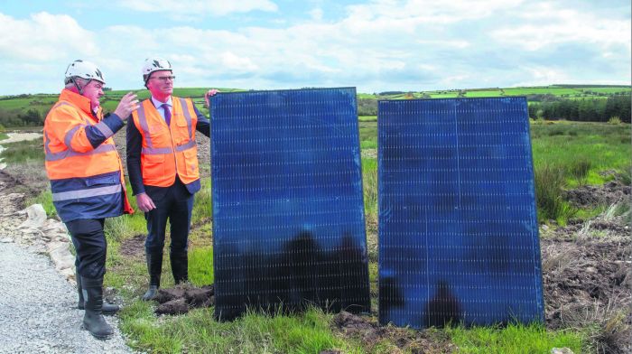 Agrisolar projects in West Cork taking shape, says Amarenco Image