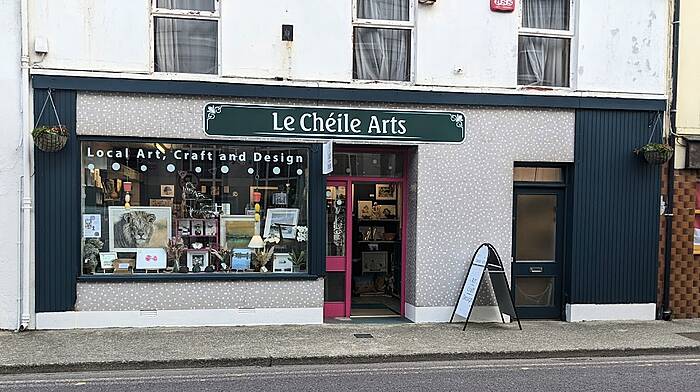 Dunmanway’s Le Chéile Arts a shining example of Creative Start-Up Scheme Image