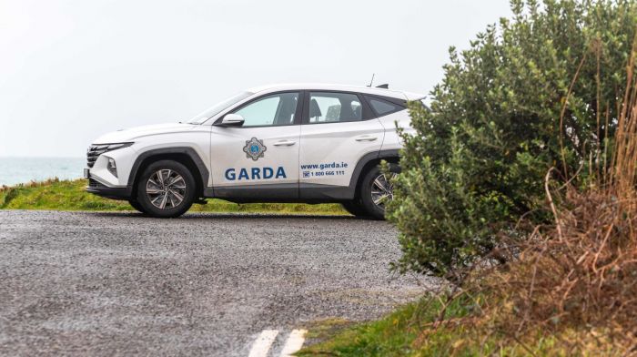 BREAKING: 10 men arrested in garda operation in West Cork Image