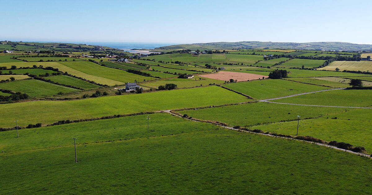 West Cork land prices continue upward push - Vimarsana News