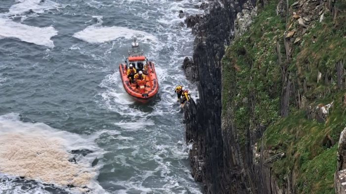 WATCH: Baltimore RNLI rescues Dixie the dog after fall from cliff at the Beacon Image