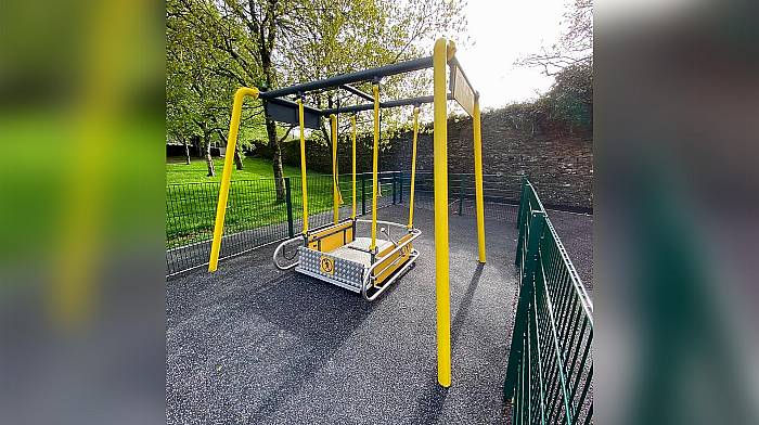 Petition to unlock Clonakilty wheelchair swing Image