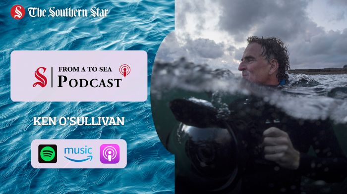 FROM A TO SEA PODCAST: Underwater cameraman Ken O'Sullivan on making documentaries in the sea | #12 Image