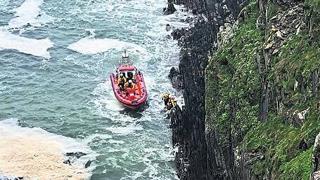 Baltimore RNLI rescues Dixie who took a ‘wuff’ cliff fall at the Beacon Image