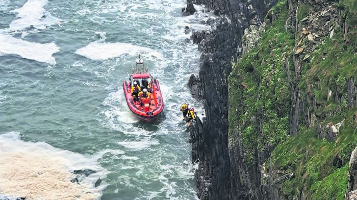 Baltimore RNLI rescues Dixie who took a ‘wuff’ cliff fall at the Beacon Image