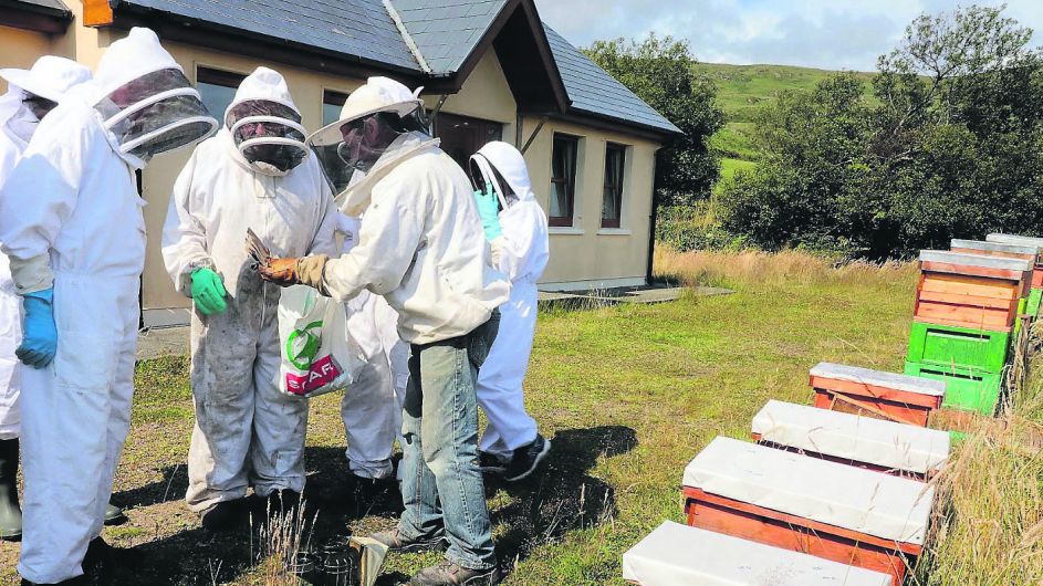Buzz of excitement for beekeeping event Image