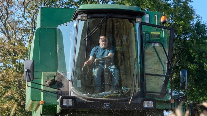 Denis Kelleher of Duggans Contractors, Dunmanway, harvesting a 15-acre field of spring wheat on a hot and sunny afternoon with blue skies in Dunmanway with a John Deere 1177 SII combine.   (Photo: David Patterson)