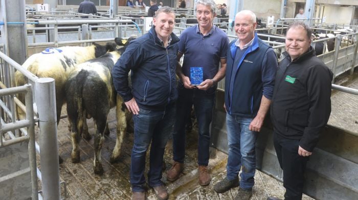 Dermot Dempsey, Ballinhassig, winner of the best pen of Contintinal Male Cattle sponsored by Barretts Agri at the Bandon Mart Weanling Show & Sale with John O'Reardon Barretts, Sean Dennehy Mart  Manager, and Jim O'Sullivan Barretts Agri.