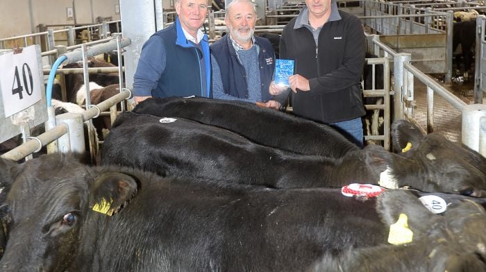 Stephen McCarthy Drimoleague (right) with the champion pen of Angus Male Stock sponsored by McCarthy Mills at the Bandon Mart Weanling Show & Sale with manager Sean Dennehy and judge Billy Nicholson.