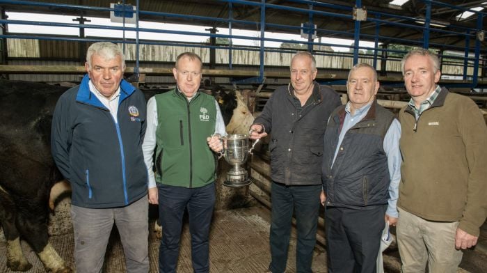 Richard Forbes, Enniskeane with his best beef cow class winner, a Hereford cow at a store cattle show & sale in Bandon Mart with Derry Scannell, Cork Marts Board Member, John O'Donovan, FBD (sponsor), owner , Neilie O'Riordan, Bandon Mart and judge Sean Kelleher, Newcestown. Photo O'Gorman Photography.