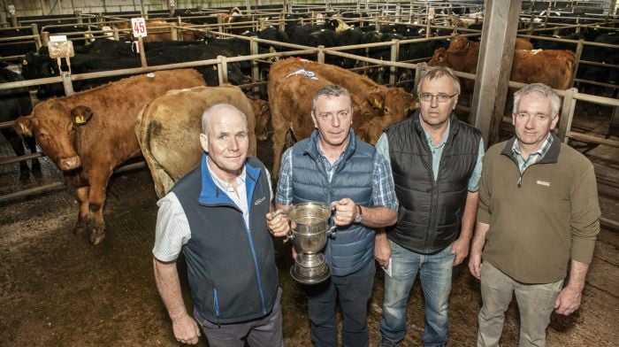 Colm Coakley, Clonakilty with the best pen of continental heifers at a recent Bandon Mart store cattle show & sale with Sean Dennehy, mart manager,  David Bird, Bandon Mart and judge Sean Kelleher, Newcestown. Photo O'Gorman Photography.