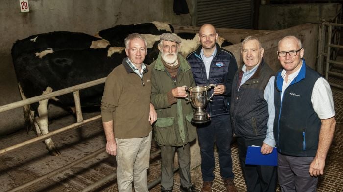 Tony Coughlan from Belgooly with the winner best pen of Friesian bullocks at a recent Bandon Mart store cattle show & sale with judge Sean Kelleher, Newcestown,  Tim Hurley, Bandon Coop (sponsor), Neilie O'Riordan, Bandon Mart and Sean Dennehy, mart manager. Photo O'Gorman Photography.