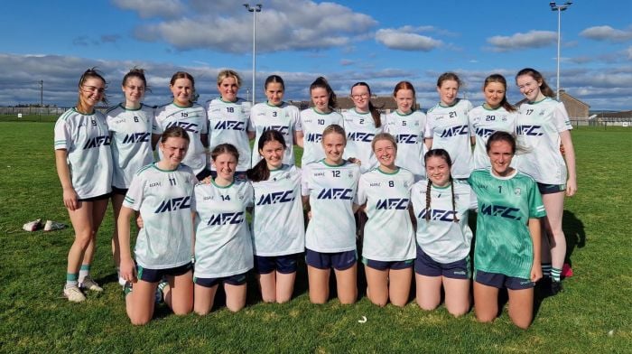 The Ilen Rovers junior ladies who qualified for the junior D county final are (back, from left): Emma Hurley, Leah Carey, Aishling Whooley, Alannah Cawley, Daisy Griffiths, Alice Bushe, Meg Walshe, Anna Hurley, Mary Bushe, Cliodhna Herlihy and Sarah Keating. Front (from left): Maebh Collins, Kate Carey, Anna Collins, Keelin Murphy, Eimear Carey, Diana Rose Coakley and Saoirse Harte Leonard.