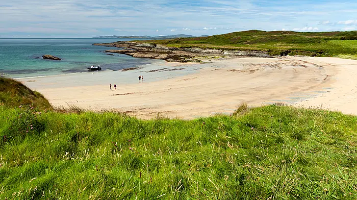 Queen of the May: flower crowns and foraging on Sherkin Island nature retreat Image