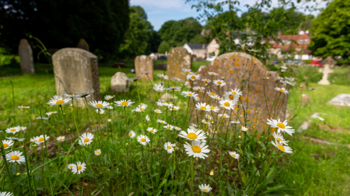 Undertaker trimmed plot for family to grieve at graveside Image