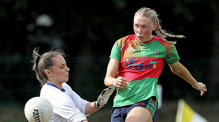 Clonakilty and Kinsale battle for Cork senior B crown  Image